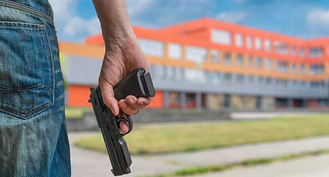 schoolshootingdatabase School Shooter